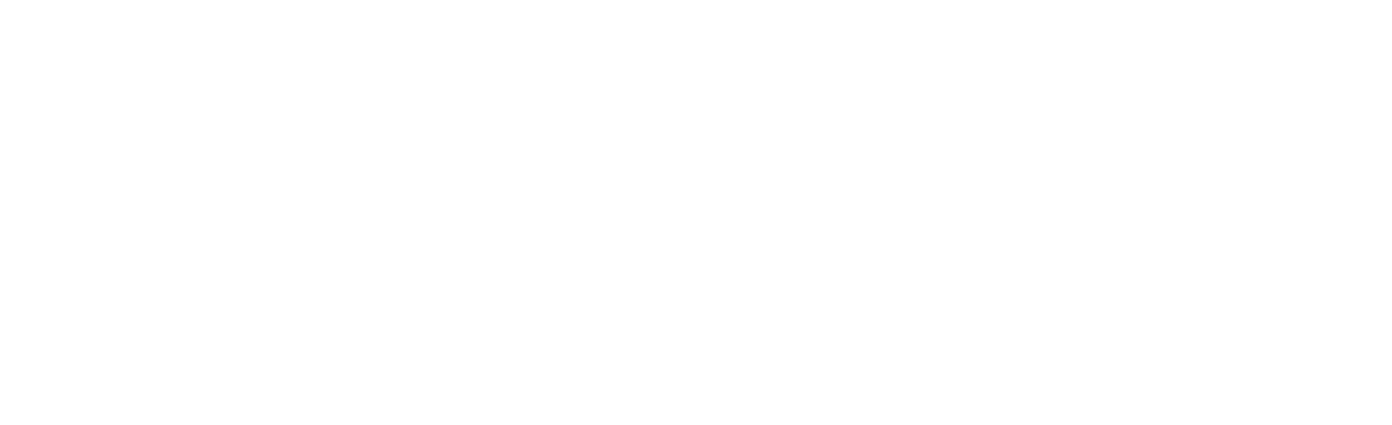 Vision 360 PIX
